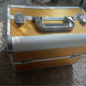 Gold and Silver Storage Case